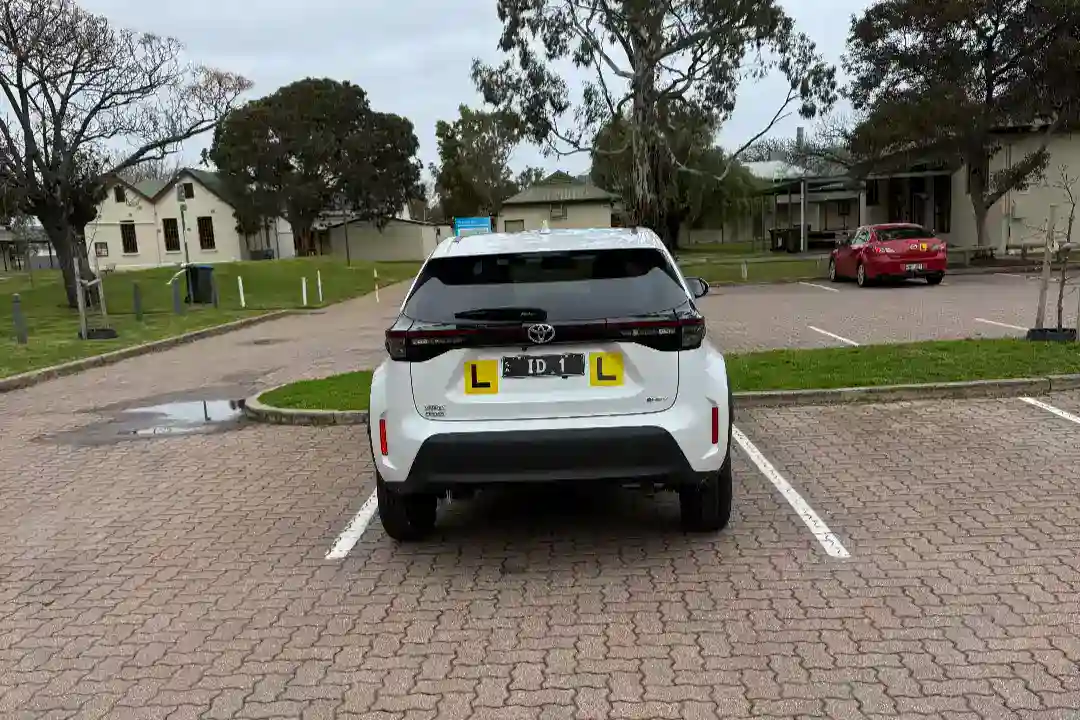 Driving Lessons Semaphore